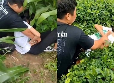 Clip Vu Khanh Linh использует фальшивые члены